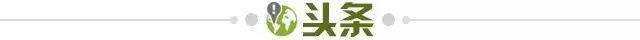 开云官方网站-【早报】为失事飞机祈福:希望有奇迹发生,愿平安
